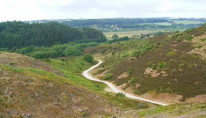 Rebild Bakker med slyngende vej gennem hede og skov i Rebild Kommune