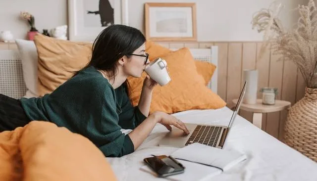 Artikel om webshop Magento vs Shopify